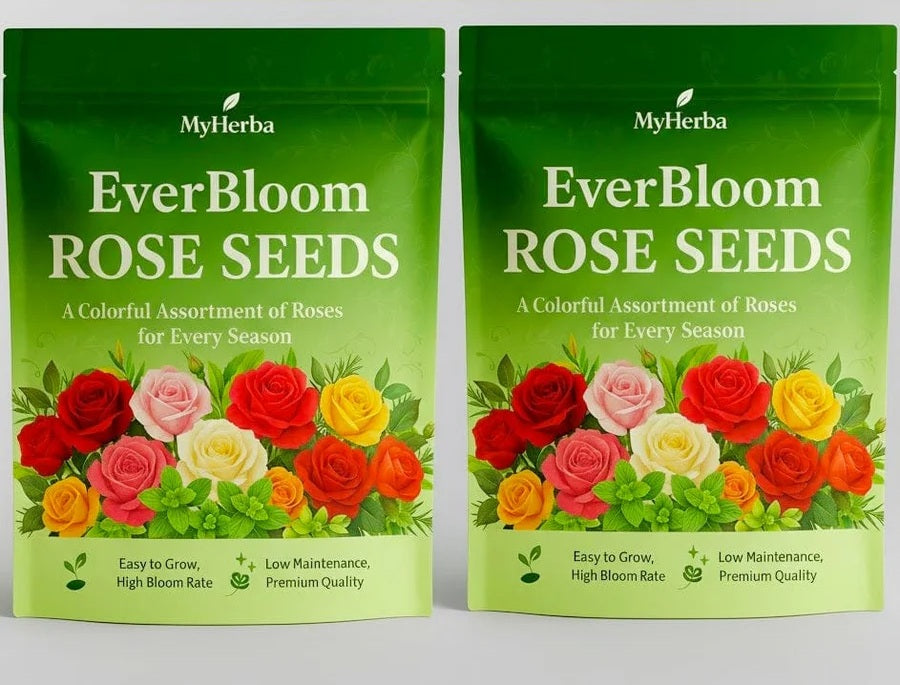 EverBloom Climbing Rose Seeds (Pack Of 2)