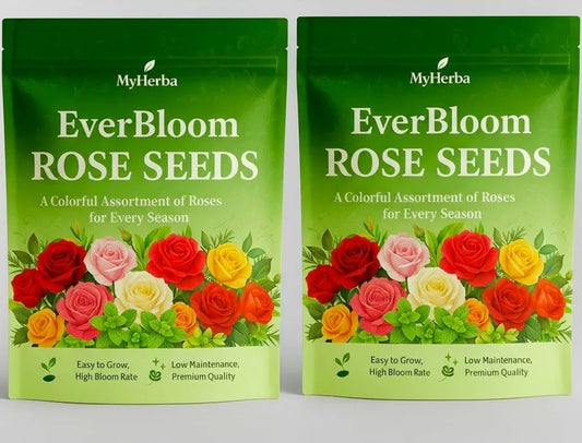 EverBloom Climbing Rose Seeds (Pack Of 2)