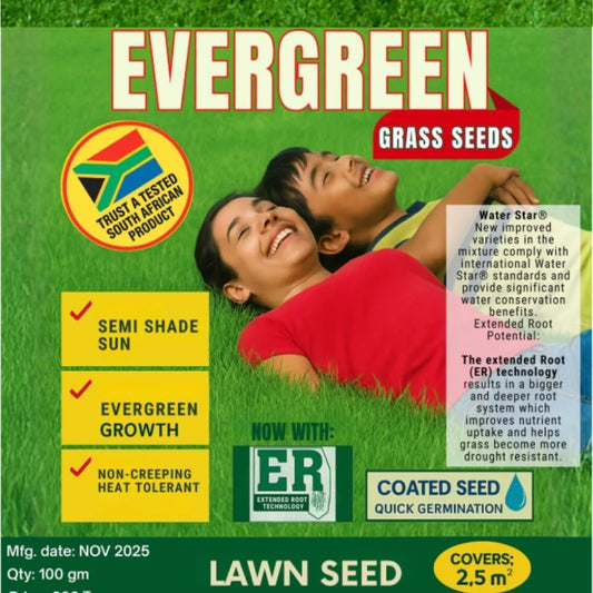 All Season Evergreen Grass Seeds (Pack of 4)