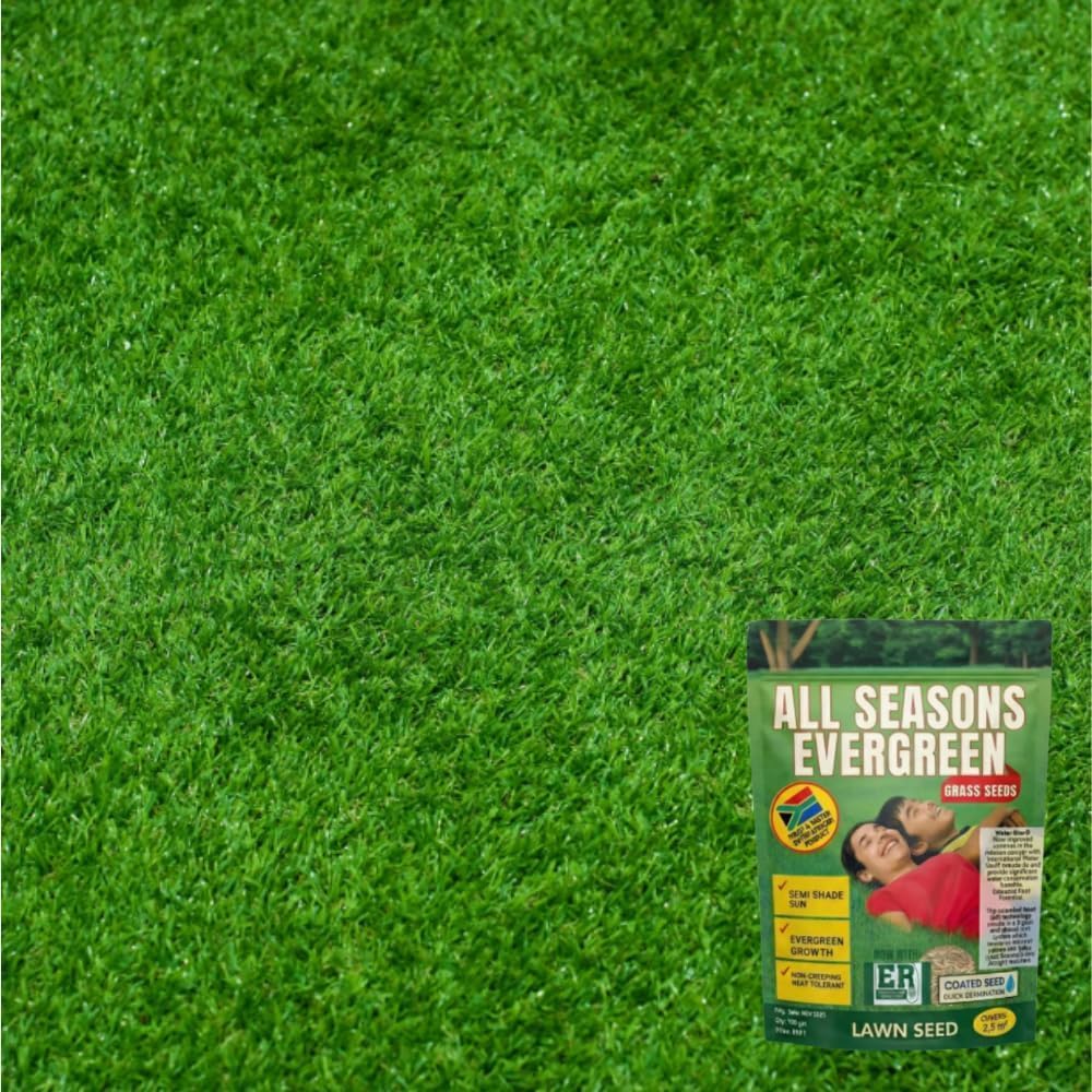 All Season Evergreen Grass Seeds (Pack of 4)