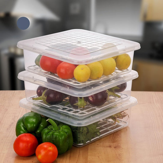 Fridge Storage Container 2500 ml (Pack Of 2)